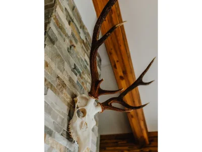 Apartment Appartement/3 Schlafräume/Zirbentraum - Outdoor photo 8