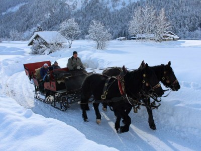 Apartment Schihörndl Junior - Outdoor photo 7