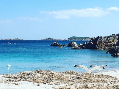 Villa Villa Le Rocce - Environment photo 21