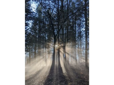 Apartment Großzügige Einliegerwohnung mit sep. Eingang - Outdoor photo 21