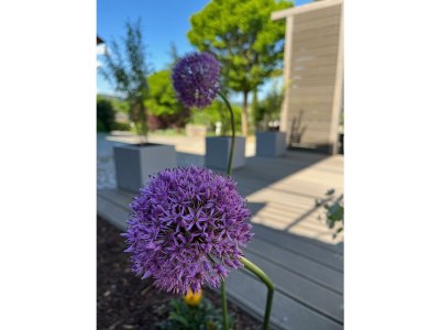 Apartment Appartement/Fewo, Dusche oder Bad, 2 Schlafräume - Outdoor photo 10