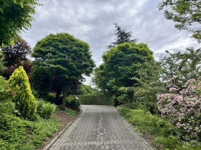 Apartment Appartement/Fewo, Dusche oder Bad, 2 Schlafräume - Outdoor photo 12