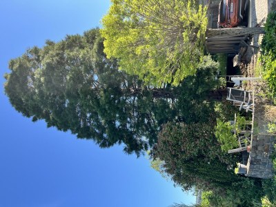 Apartment Appartement/Fewo, Dusche oder Bad, 2 Schlafräume - Outdoor photo 13