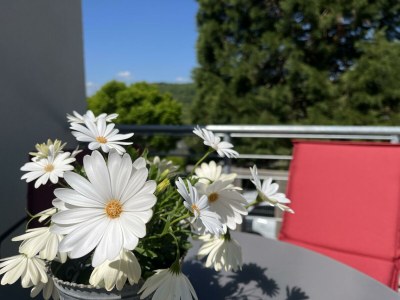 Apartment Appartement/Fewo, Dusche oder Bad, 2 Schlafräume - Outdoor photo 24