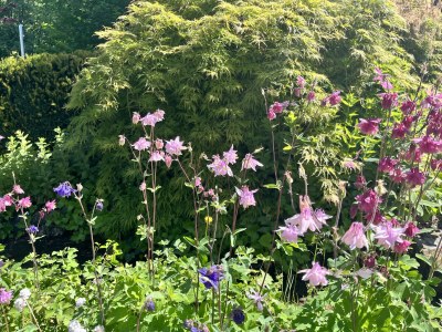 Apartment Appartement/Fewo, Dusche oder Bad, 2 Schlafräume - Outdoor photo 27