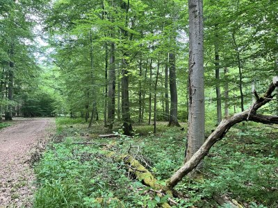 Apartment Appartement/Fewo, Dusche oder Bad, 2 Schlafräume - Outdoor photo 31