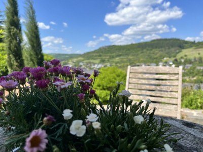 Apartment Appartement/Fewo, Dusche oder Bad, 2 Schlafräume - Outdoor photo 34