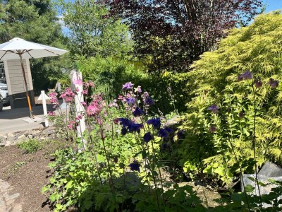 Apartment Appartement/Fewo, Dusche oder Bad, 2 Schlafräume - Outdoor photo 37