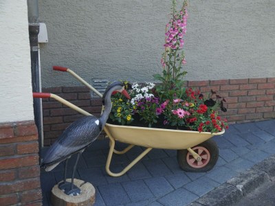 Apartment 5-Bettwohnung - Outdoor photo 9