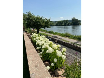 Apartment Flussufer No. 12 - Outdoor photo 5