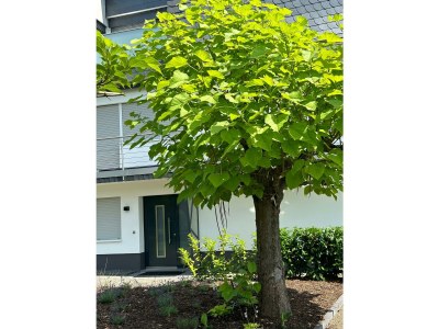 Apartment Flussufer No. 12 - Outdoor photo 6