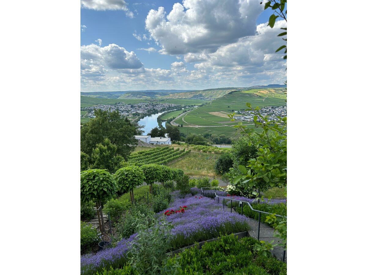 Apartment Ferienwohnung "Auszeit  Im alten Weinberg" - Outdoor photo 2