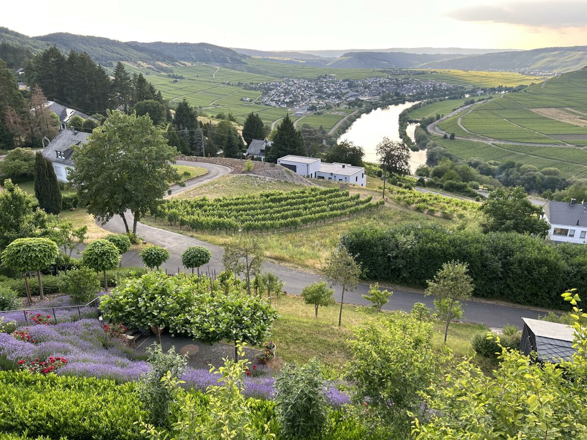 Apartment Ferienwohnung "Auszeit  Im alten Weinberg" - Outdoor photo 3