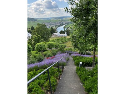 Apartment Ferienwohnung "Auszeit  Im alten Weinberg" - Outdoor photo 5