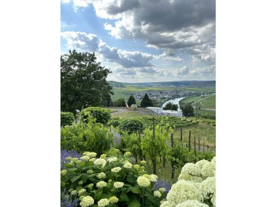 Apartment Ferienwohnung "Auszeit  Im alten Weinberg" - Outdoor photo 6