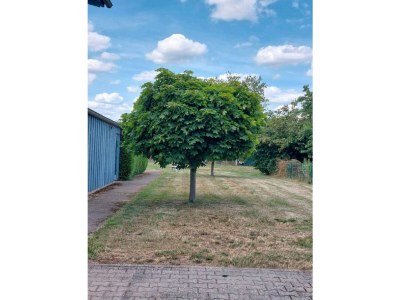 Apartment Ferienwohnung Uljana - Outdoor photo 7