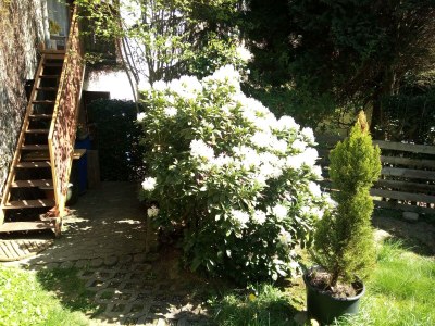 Apartment Appartement/Fewo, Bad, WC, 1 Schlafraum - Outdoor photo 5