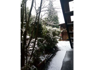 Apartment Appartement/Fewo, Bad, WC, 1 Schlafraum - Outdoor photo 10