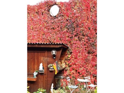 Apartment Appartement/Fewo, Bad, WC, 1 Schlafraum - Outdoor photo 23