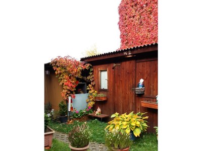 Apartment Appartement/Fewo, Bad, WC, 1 Schlafraum - Outdoor photo 24