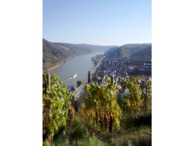 Apartment Appartement/Fewo, Bad, WC, 1 Schlafraum - Outdoor photo 35