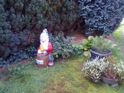 Apartment Appartement/Fewo, Bad, WC, 1 Schlafraum - Outdoor photo 40