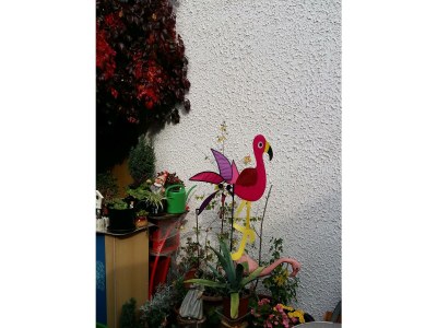 Apartment Appartement/Fewo, Bad, WC, 1 Schlafraum - Outdoor photo 53