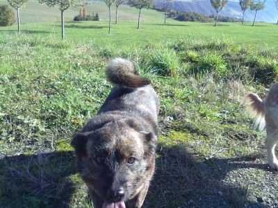 Apartment Appartement/Fewo, Bad, WC, 1 Schlafraum - Outdoor photo 56