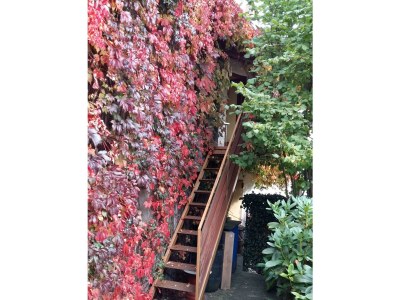 Apartment Appartement/Fewo, Bad, WC, 1 Schlafraum - Outdoor photo 67