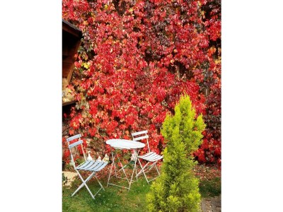 Apartment Appartement/Fewo, Bad, WC, 1 Schlafraum - Outdoor photo 69