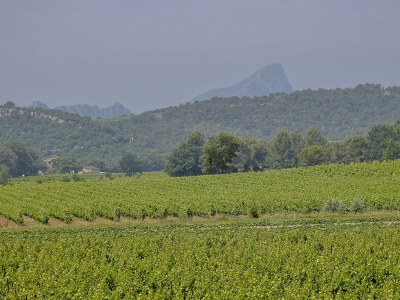 Holiday house Villa Ricome - Environment photo 39