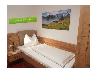 Holiday room Business Einzelzimmer mit Bergblick - Features photo 68