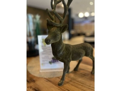 Apartment Superior Appartement - Outdoor photo 27