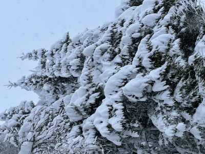 Apartment Appartement Melanie - Outdoor photo 7