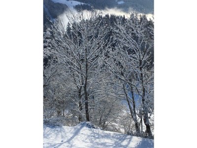 Apartment Appartement Melanie - Outdoor photo 9