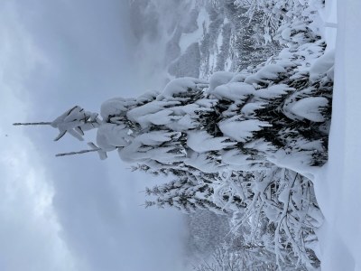 Apartment Appartement Melanie - Outdoor photo 13