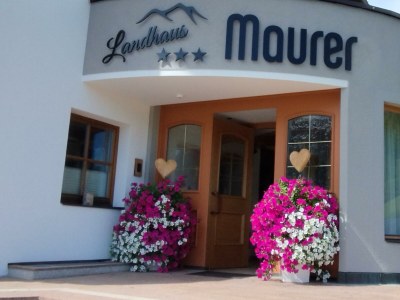 Apartment #7 Sternenblick - 3 Raum Ferienwohnung südseitig - Outdoor photo 12