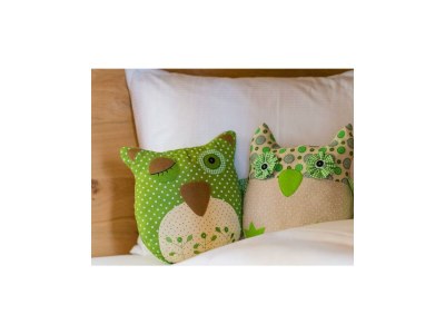 Apartment Chalet, 3 Schlafräume, 3 Badezimmer - Features photo 41