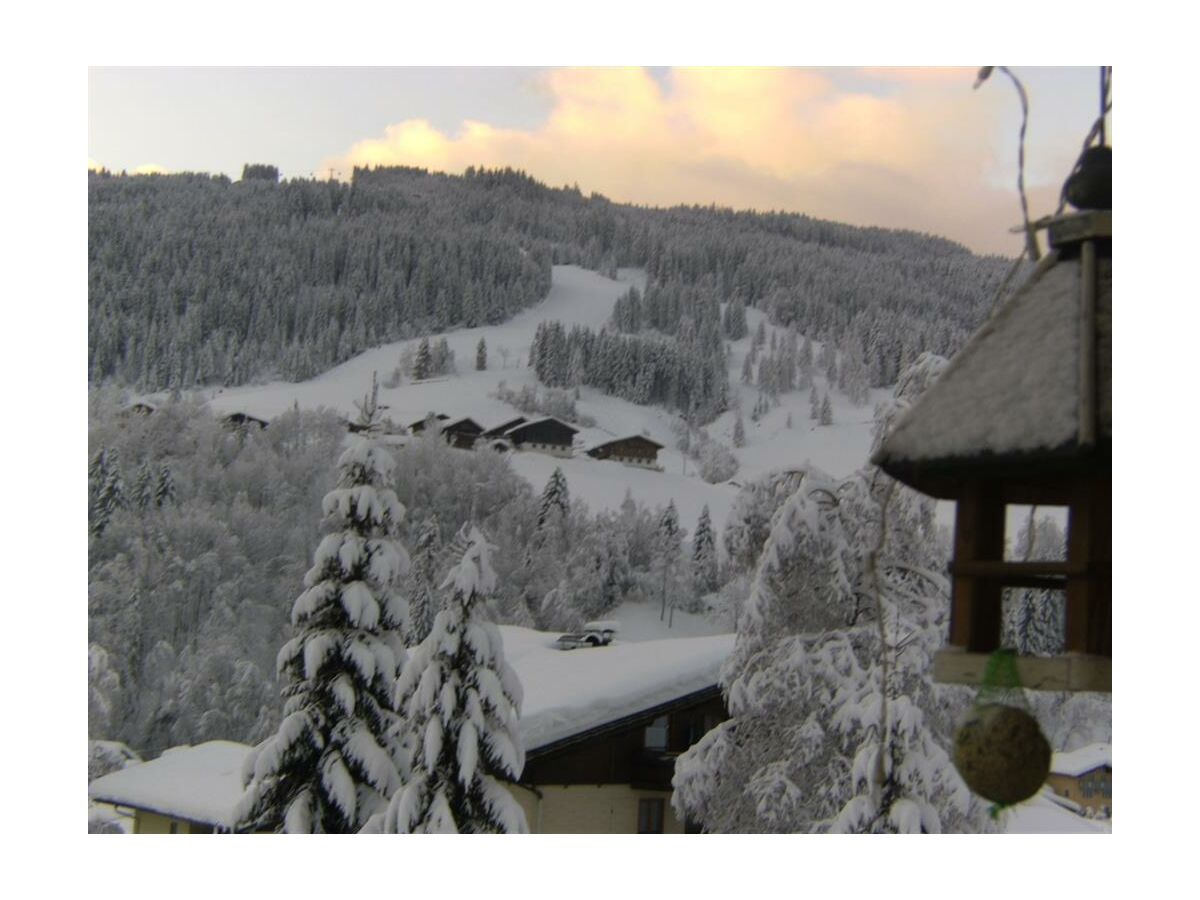 Apartment Appartement Grafenberg 1 - Outdoor photo 3