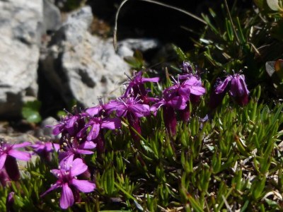 Apartment Top 2 Bergblick - Outdoor photo 10