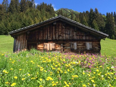 Apartment Top 2 Bergblick - Outdoor photo 53