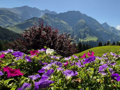 Apartment Top 2 Bergblick - Outdoor photo 68