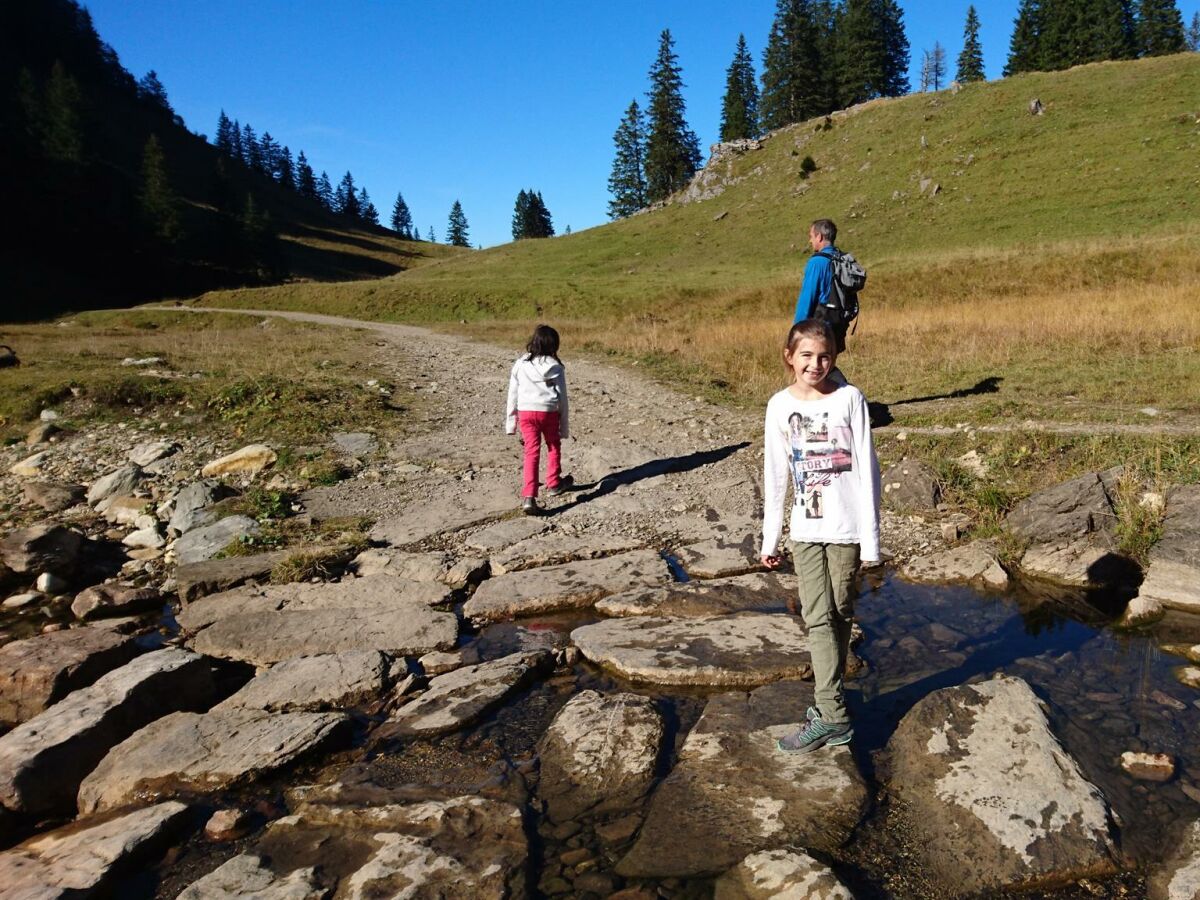 Apartment Appartement 2