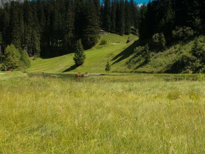 Apartment Penthouse Appartement - Outdoor photo 34