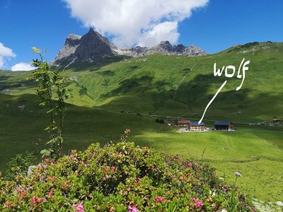 Apartment apartTOP 2.2 - Outdoor photo 27