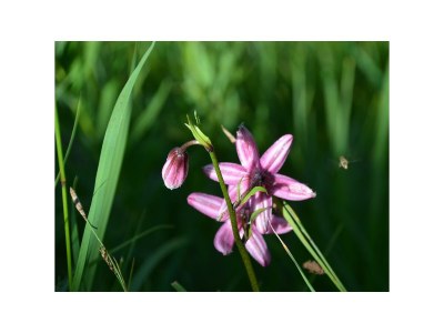 Apartment Alpenblick 2 - Outdoor photo 27