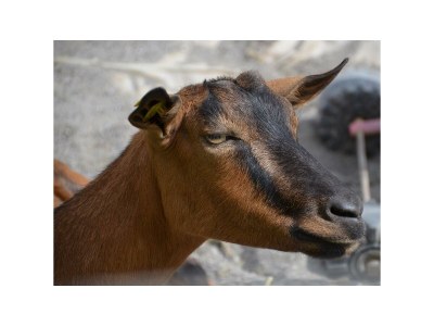 Apartment Alpenblick 2 - Outdoor photo 28