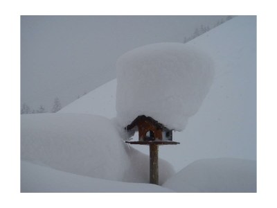 Apartment Alpenblick 2 - Outdoor photo 41