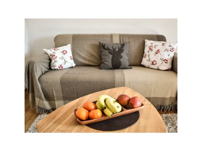 Apartment Alpenblick 2 - Features photo 50