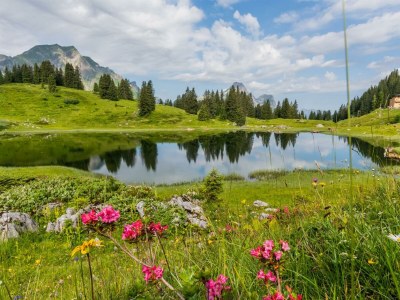 Apartment Appartement/Fewo, Bad, WC, 3 Schlafräume - Outdoor photo 8